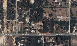 4849 W Cardinal St, Homosassa Springs, FL 34446