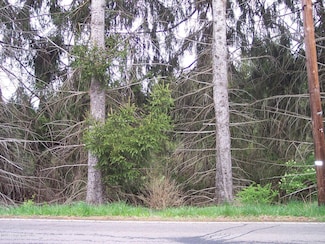 Lot # 4 Pioneer Ave, Shavertown, PA 18708