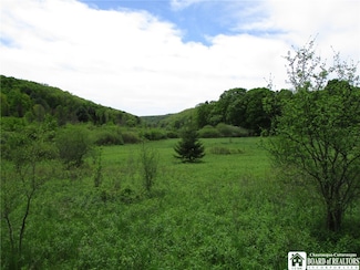 0 Yankee Rd, Ischua, NY 14743