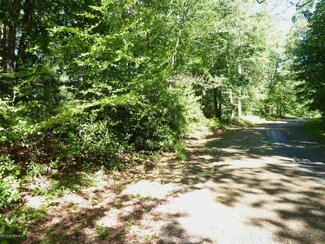 000 Widow Dr, Meadows of Dan, VA 24120