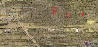 00 E 58th St, Cut Off, LA 70345