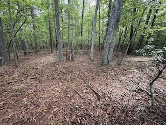 0 Marks Path Unit 923123, Henry, VA 24102