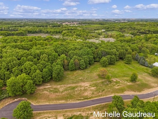 Parcel 8 Leaf Ln, Freeport, MI 49325