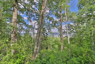 TBD NW Pine Mountain Lake Rd, Backus, MN 56435