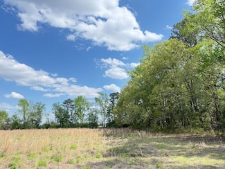 Tbd Cottingham Rd Tract G, Clio, SC 29525