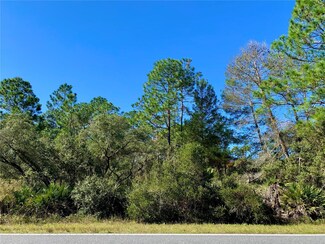 Lot 7 Redgum Ct, Eustis, FL 32736