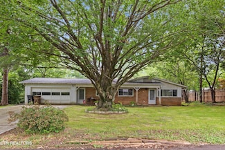 205 Newcastle Rd, Knoxville, TN 37909