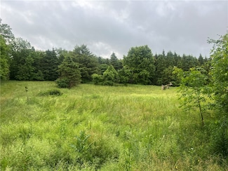 8242 Jericho Rd, Weedsport, NY 13166