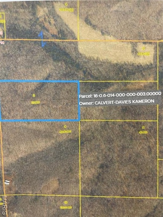 0 County Road 712, Logan Township, MO 63638