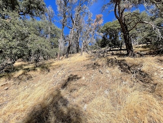 0 Tehachapi Mountains Area Unit 25001111, Tehachapi, CA 93561