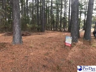 Lot 2 Stonewall Plantation and Twin Church Rd, Timmonsville, SC 29161
