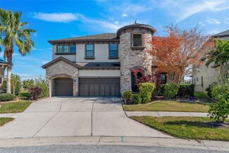 11436 Drifting Leaf Dr, Riverview, FL 33579
