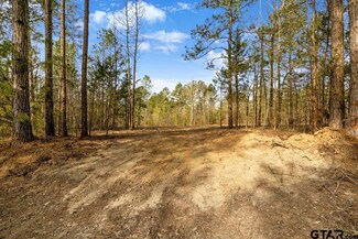 19178 County Road 2154, Troup, TX 75789