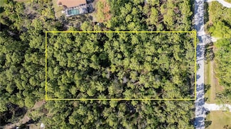 25188 Papillion Dr, Bonita Springs, FL 34135