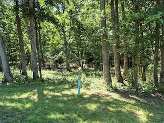 LOT 28 Forest Lake Subdivision, Wright City, MO 63390