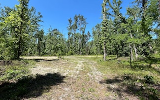 LOT36 77th Blvd & 76th Dr, Jasper, FL 32052