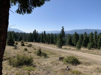 15 Genesis Ln, Trout Creek, MT 59874