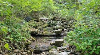 7659 Burks Rd, Christiana, TN 37037
