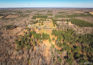 17029 Deason Dr, Licking, MO 65542