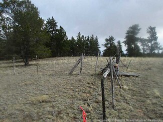 1981 Yellowstone Rd, Hartsel, CO 80449