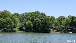 224 Northshore Place, Dahinda, IL 61428