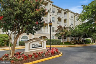 4550 Strutfield Ln Unit 2314, Alexandria, VA 22311