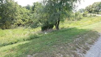 434 N Emory Creek Rd, Marvel Cave Park, MO 65616