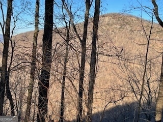 LOT 25 Mountainside Dr, Cleveland, GA 30528