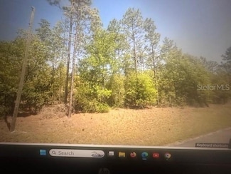 0 SW 207th Ct Unit MFRS5127680, Dunnellon, FL 34431