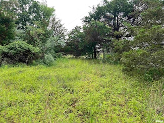Lot 211 Cherokee Dr, Goreville, IL 62939