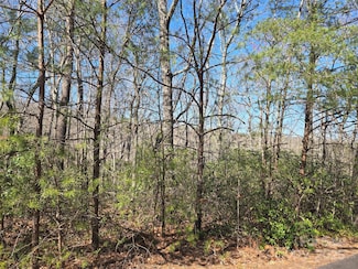Lot 39 Flynn Ct, Lake Lure, NC 28746