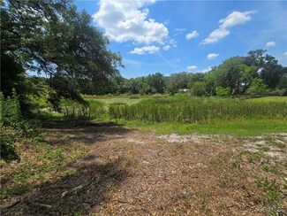 6532 N Iris Dr, Hernando, FL 34442