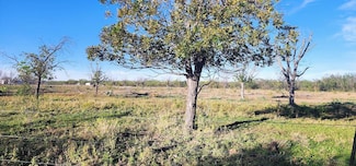 201 Orchard Ln Unit 12 13 14, Mertzon, TX 76941