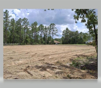 TBD SW 137th Court Rd, Ocala, FL 34481