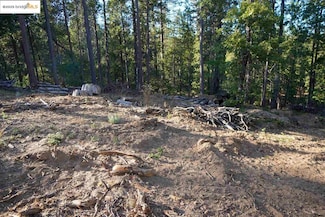 169 Canyon View, Hathaway Pines, CA 95233