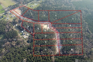 18487 Settlement Hill Trace, Livingston, LA 70754