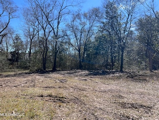 11398 Memphis Ave, Gulfport, MS 39503
