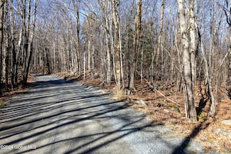 Lot 2 Fire Tower Rd, Grafton, NY 12138
