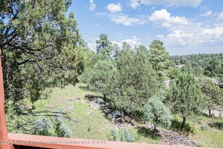 118 Thunder Mountain Ct, Alto, NM 88312