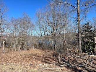 17 Newton Rd, Oliver Township, MO 65739