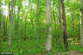 4 Harvey Peninsula Rd, Swanton, MD 21561