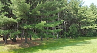 0 S Washburn Rd Unit 50094706, Mayville, MI 48768
