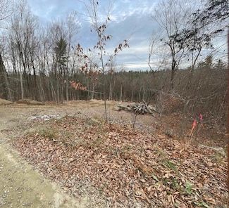 110-43 Kings Hwy, Stoddard, NH 03464