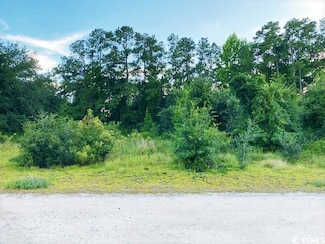 Lot 1 Ivanhoe Place, Dillon, SC 29536
