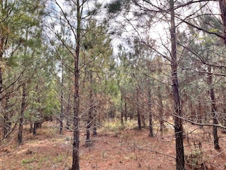 0 Georgia 257, Dublin, GA 31021