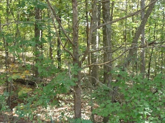 0 Goodwin Rd Walker Brow Ridge Rd Unit 20205651, Cleveland, TN 37312