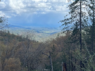 11256 Loch Lomond Rd, Loch Lomond, CA 95461