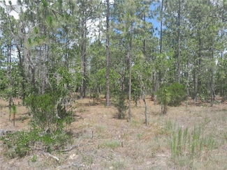 TBD NE 149 Ct, Williston Highlands, FL 32696