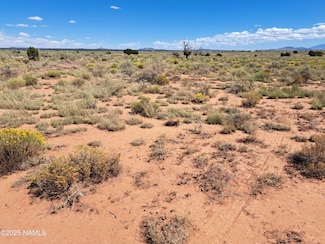 1070 E Rose Cir, Valle, AZ 86046