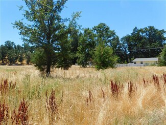 16523 Ellen Springs Rd, Lower Lake, CA 95457